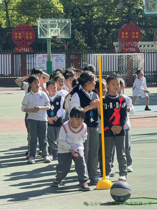 青少年篮球爱好者综合训练方案_0